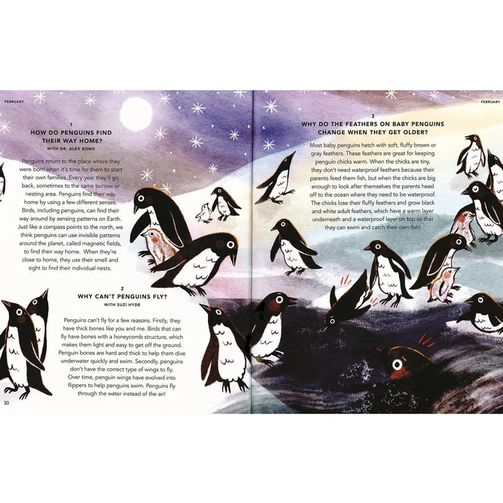 Everything Under the Sun