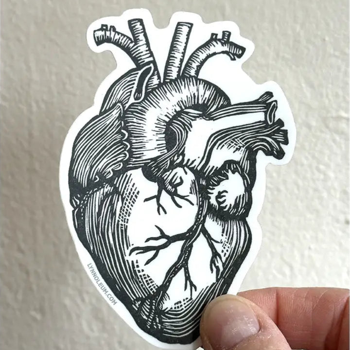 Anatomical Heart Vinyl Sticker