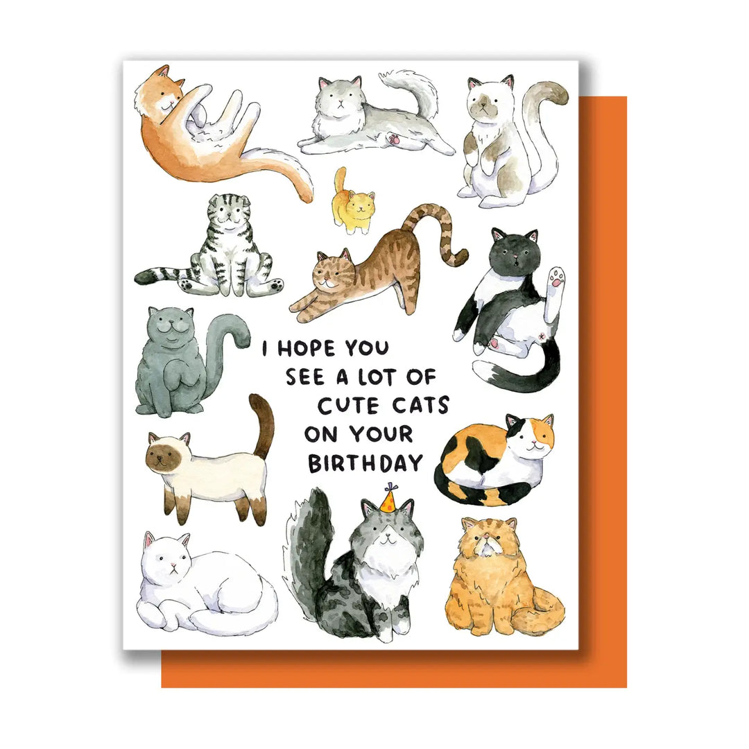 Hope You See A Lot of Cute Cats on Your Birthday Card