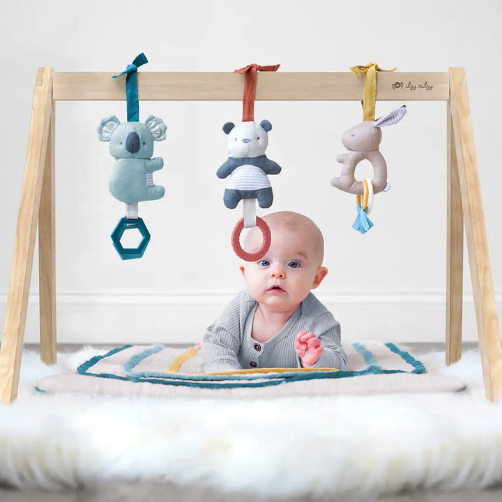 Ritzy Rainbow Activity Gym