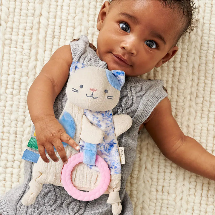 Bitzy Crinkle Sensory Toy and Teether