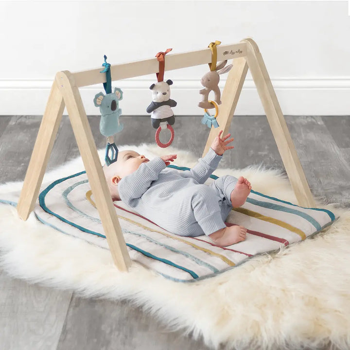 Ritzy Rainbow Activity Gym