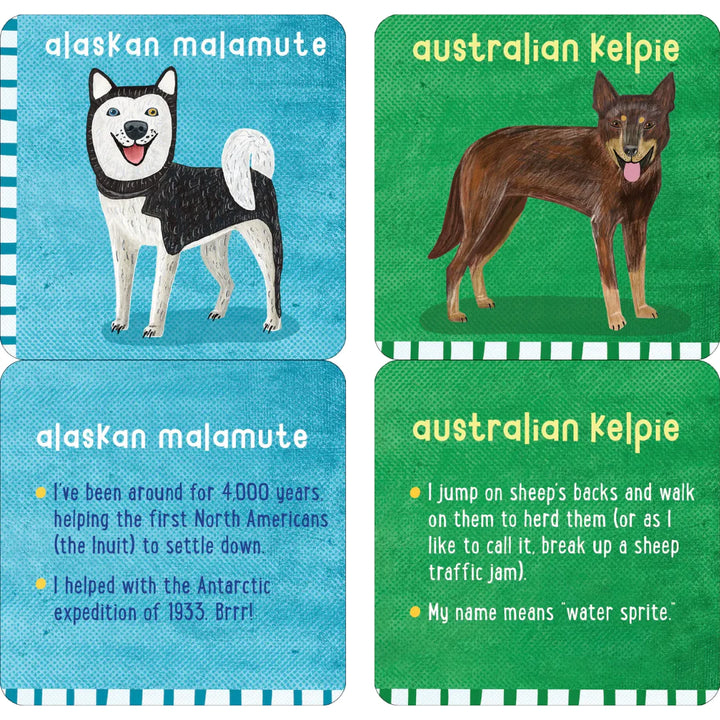 All the Dogs Lunch Box Notes for Kids