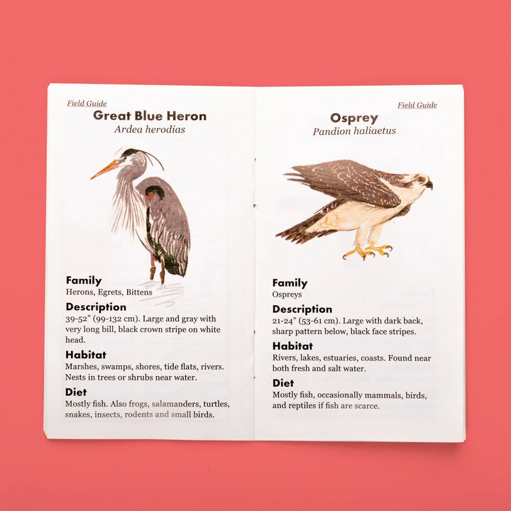 Huckleberry Binoculars