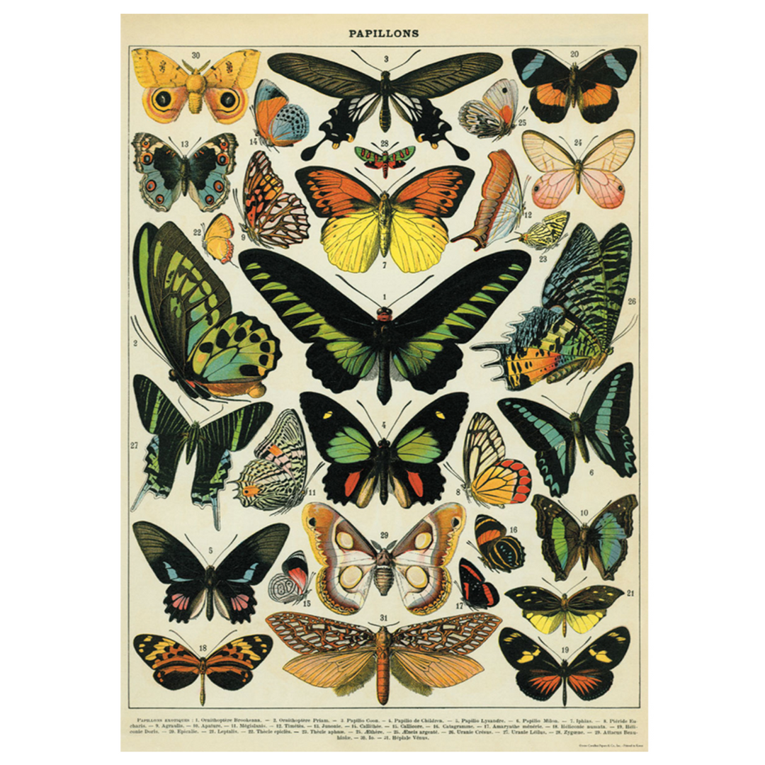 Cavallini Flat Wrap - Butterflies