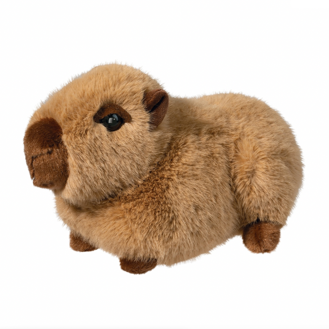 Chattie the Soft Capybara