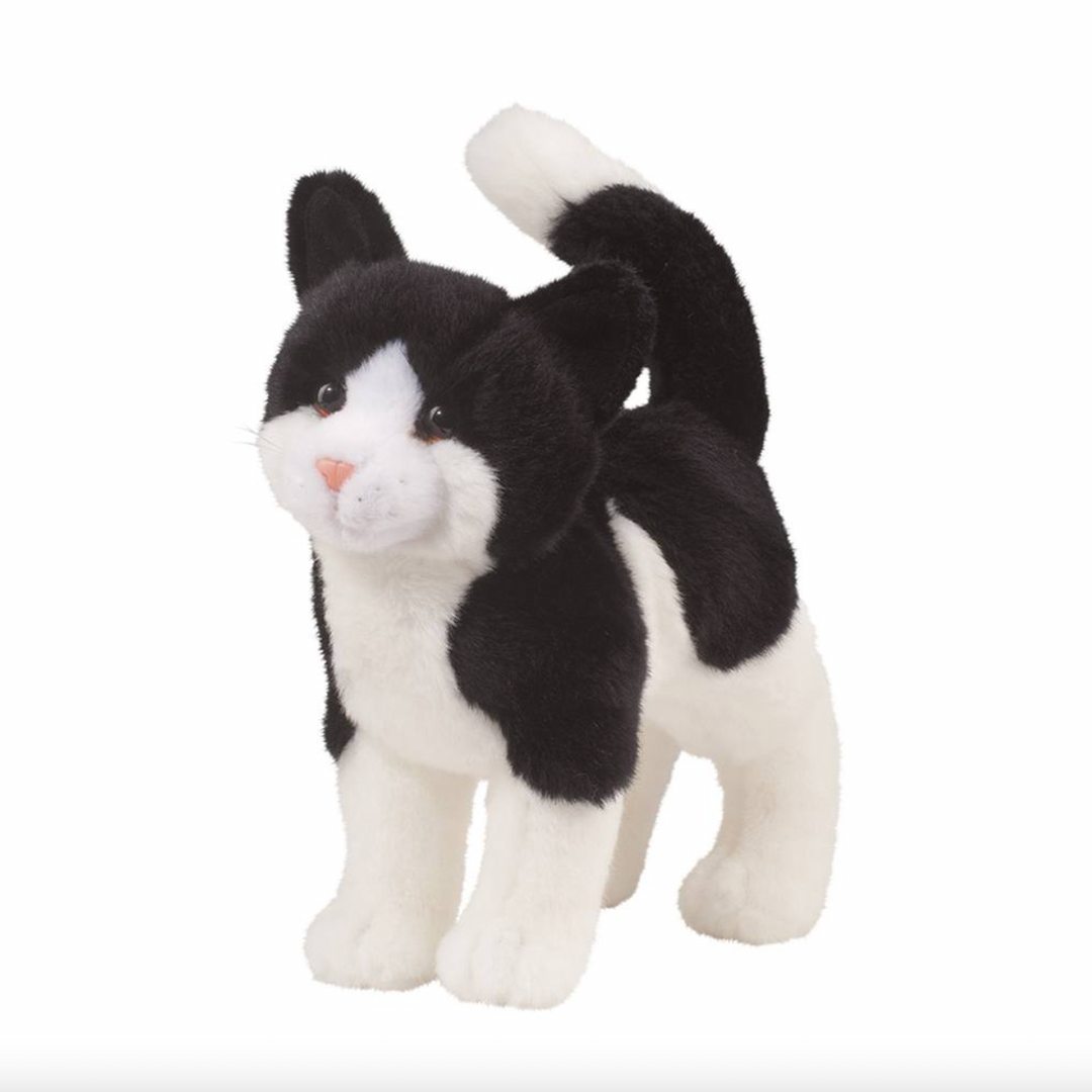 Scooter the Black and White Cat