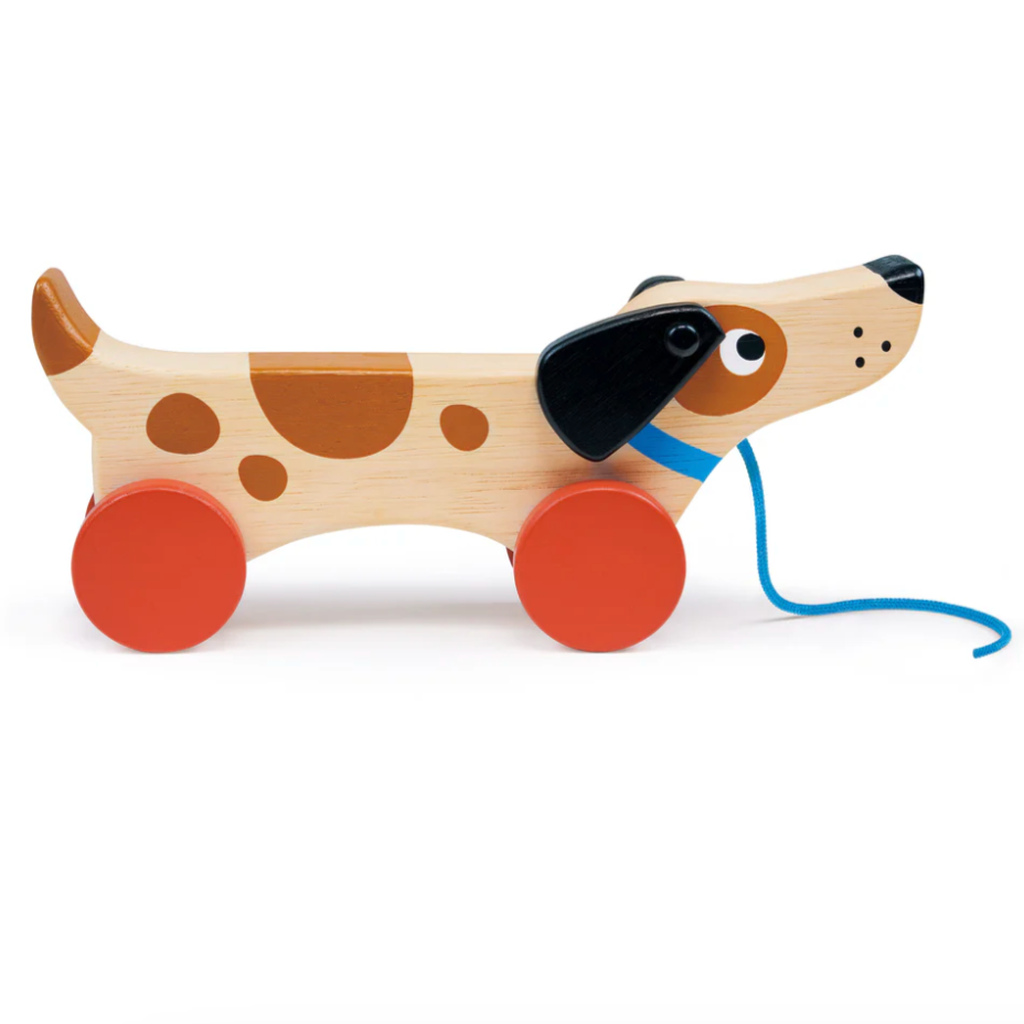 Puppy on Wheels