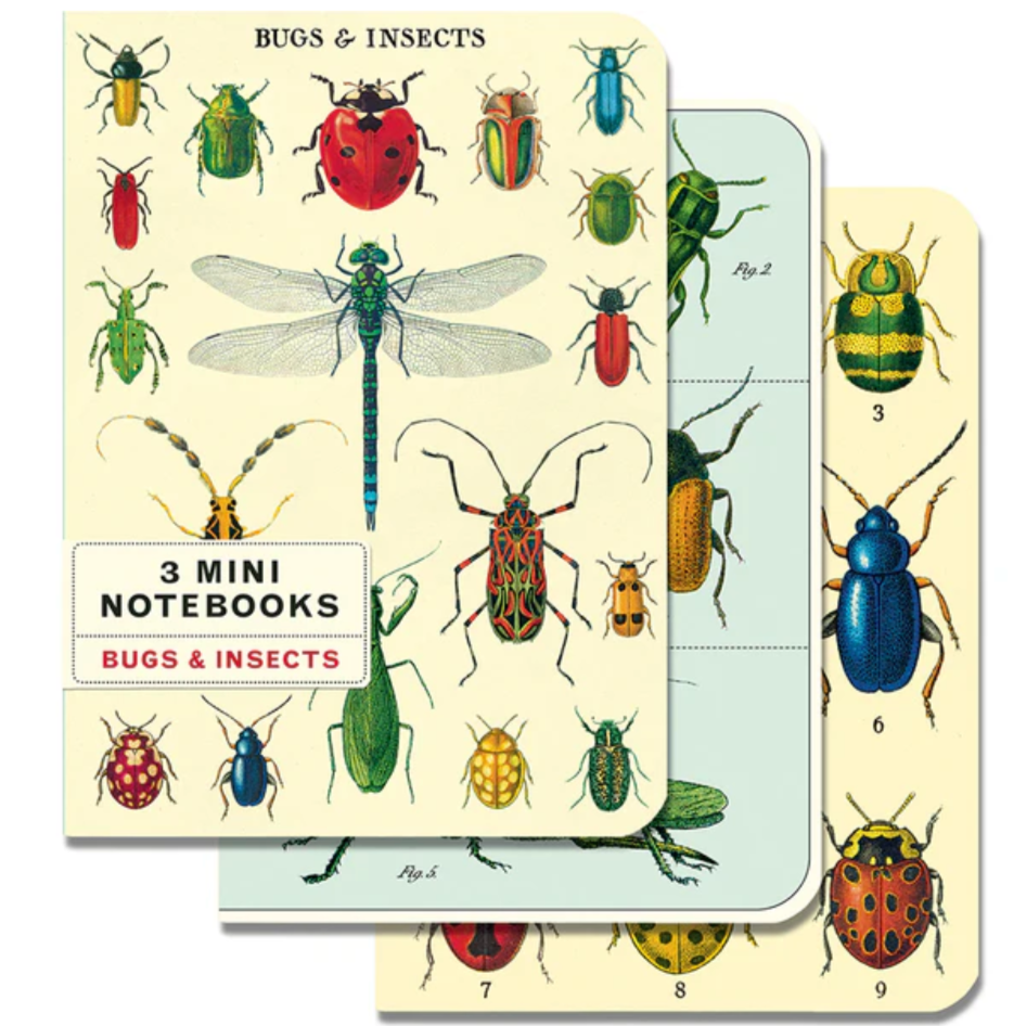 Mini Notebooks - Bugs & Insects