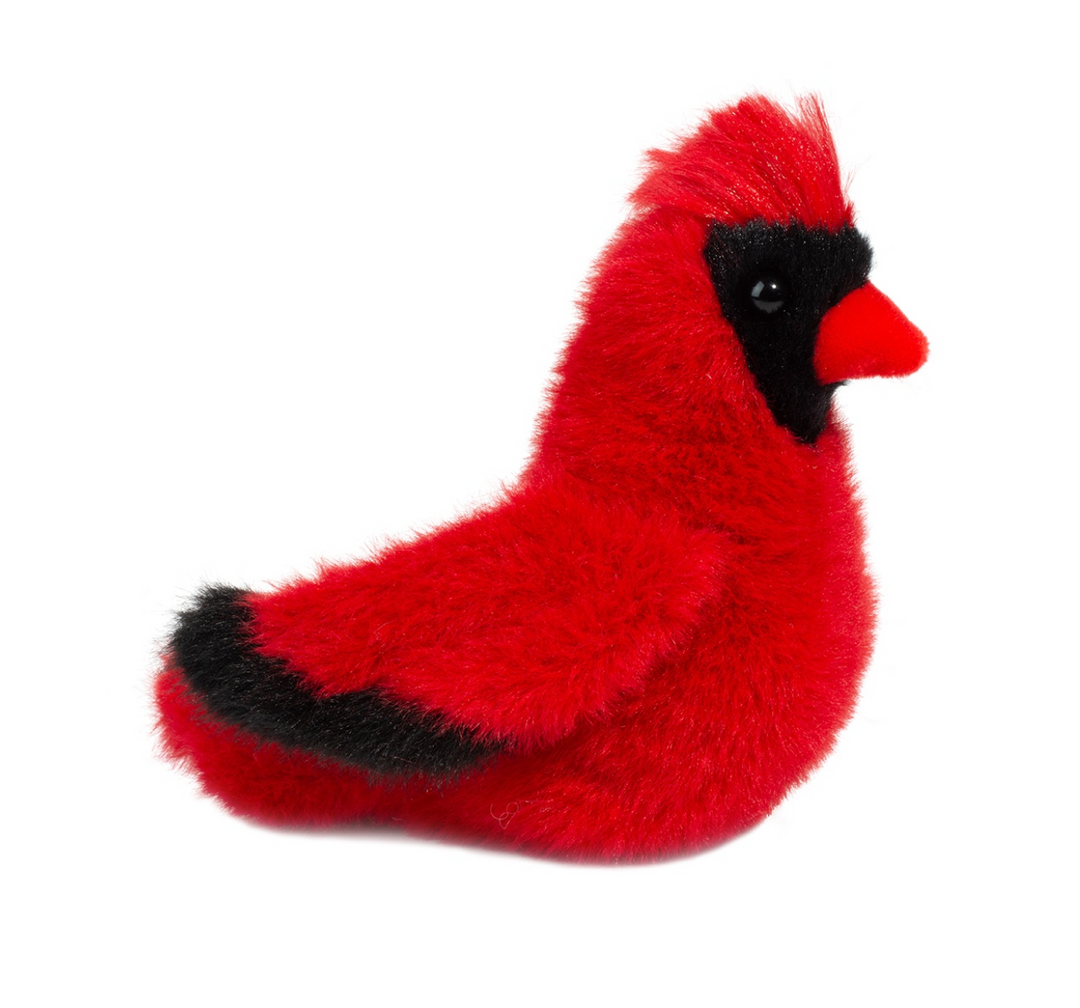 Carmine the Cardinal