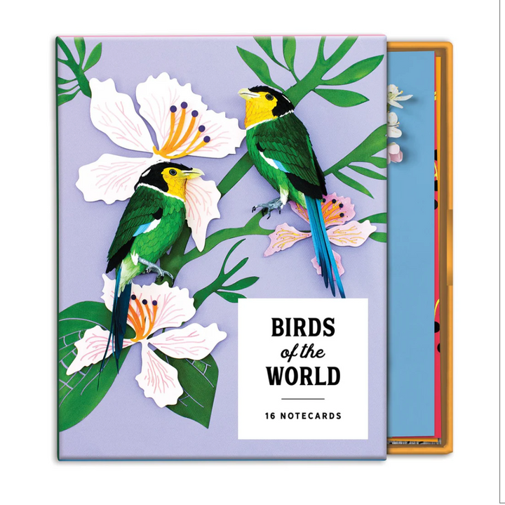 Birds of the World Boxed Notecards (Set of 16)