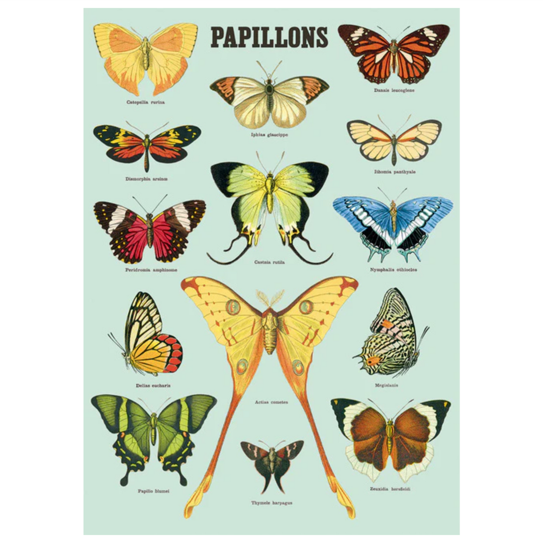 Cavallini Flat Wrap - Papillons