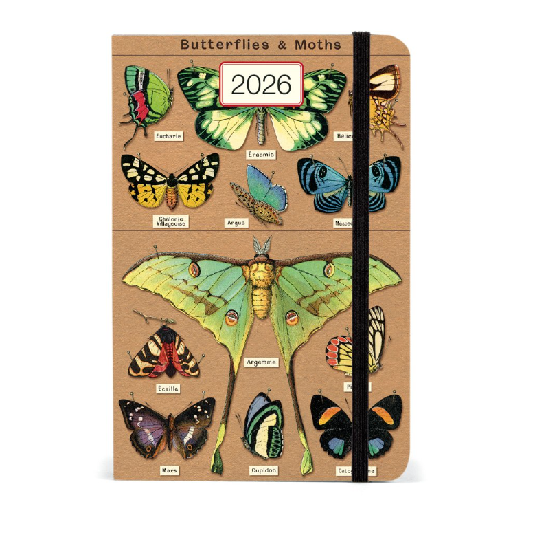 Weekly Planner - Entomology (2026)