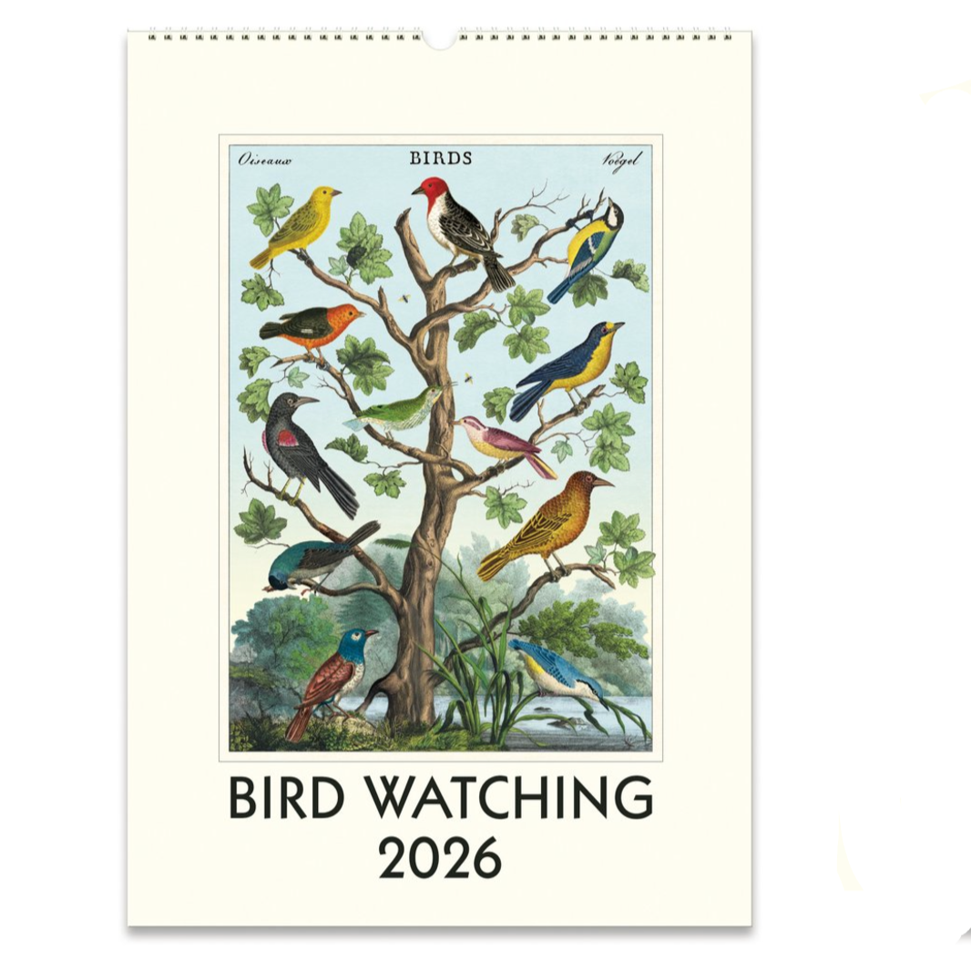 Wall Calendar - Bird Watching (2026)