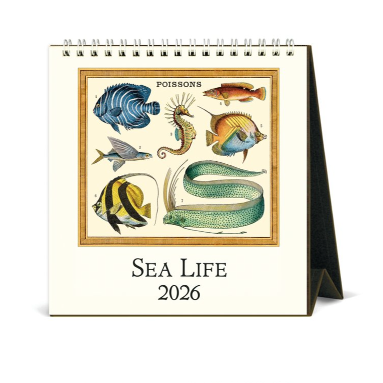 Desk Calendar - Sea Life (2026)