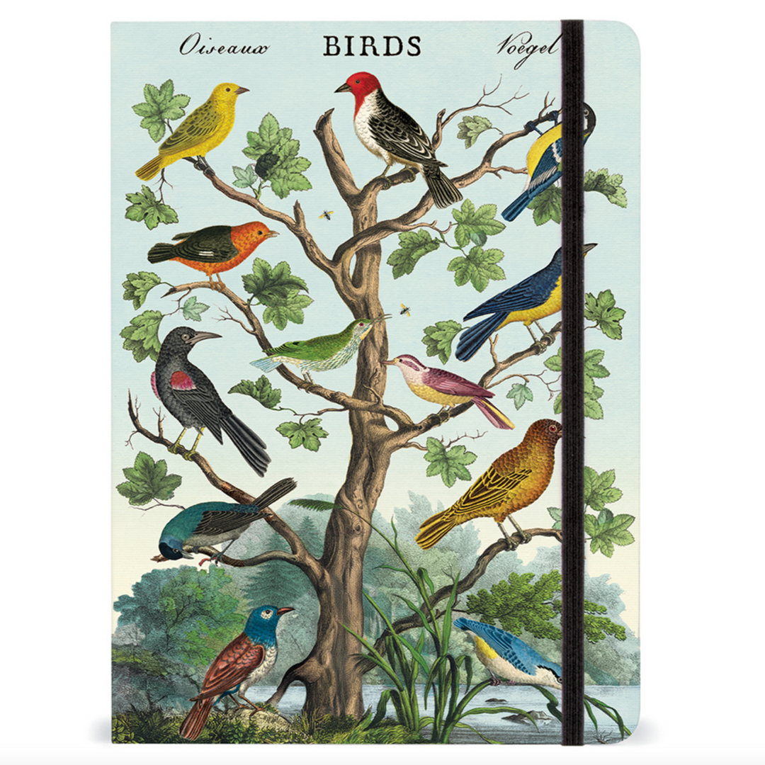 Birds Large Notebook