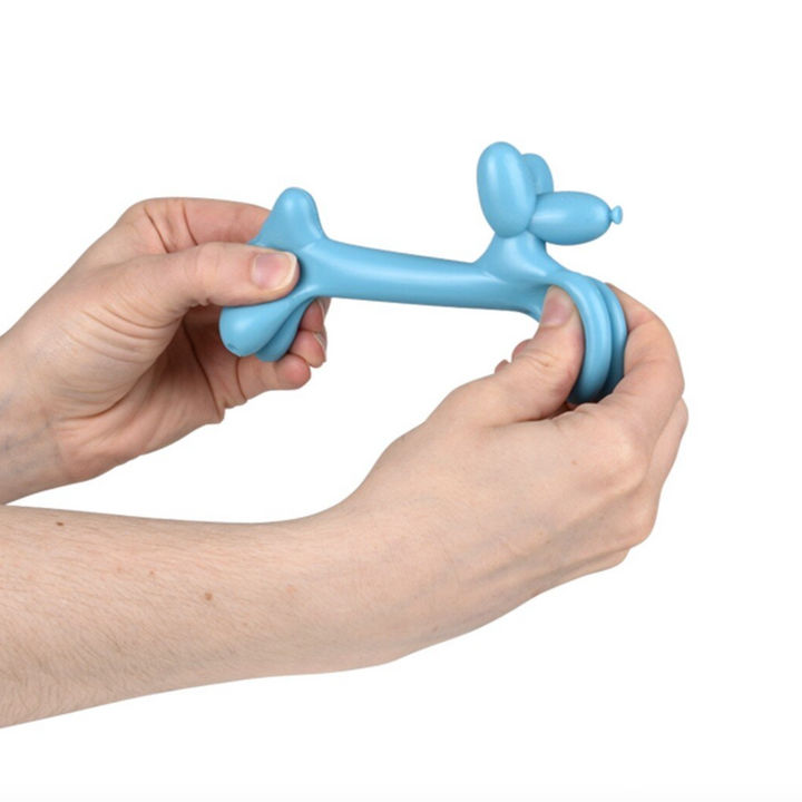 Stretch and Squish Balloon Dog