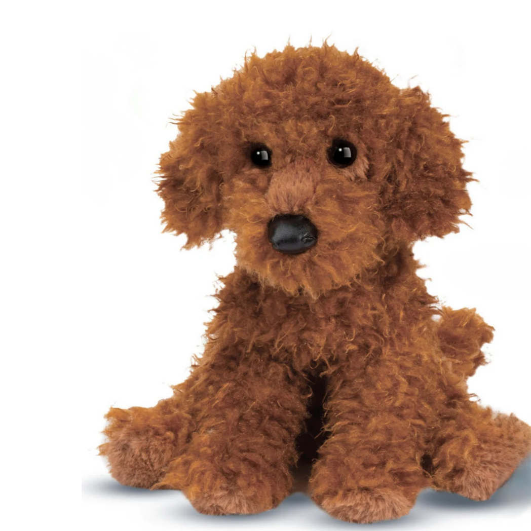 Ginger the Miniature Poodle