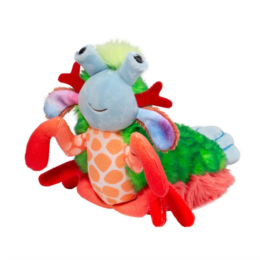 Punchie the Peacock Mantis Shrimp