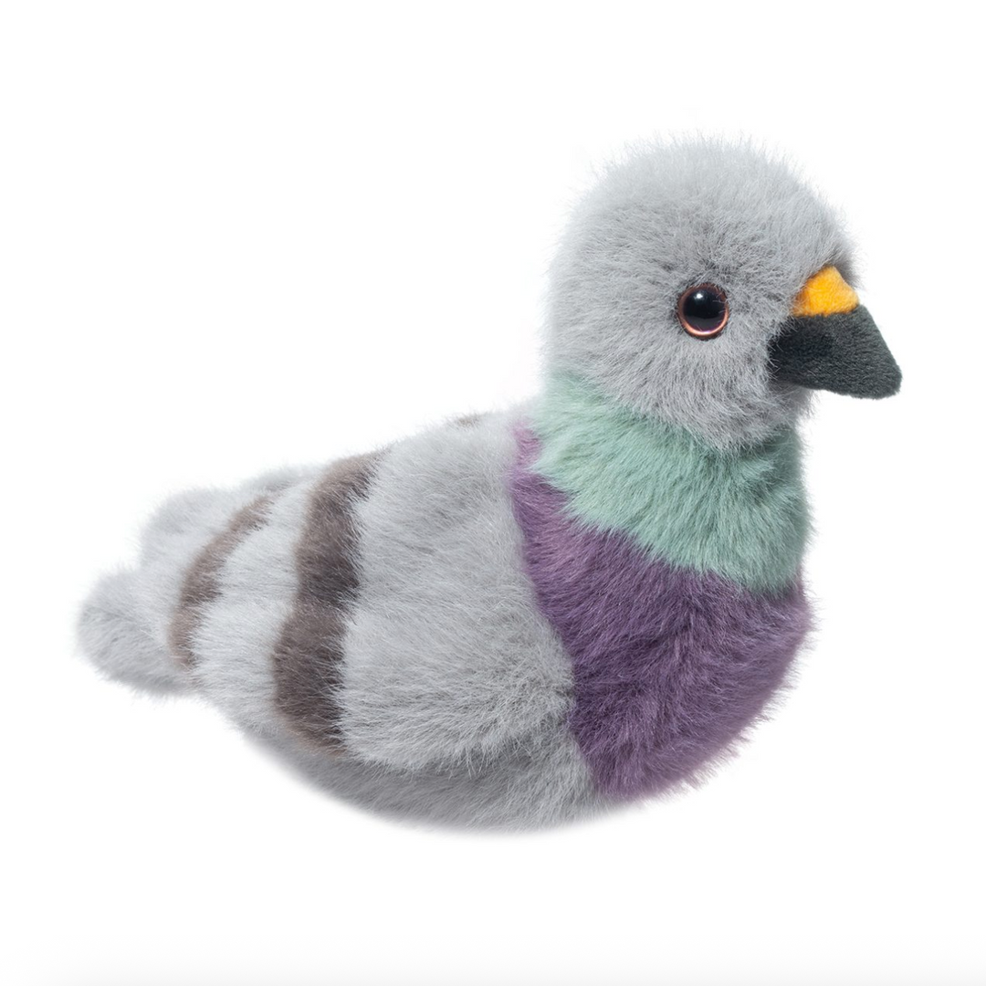 Parker the Pigeon