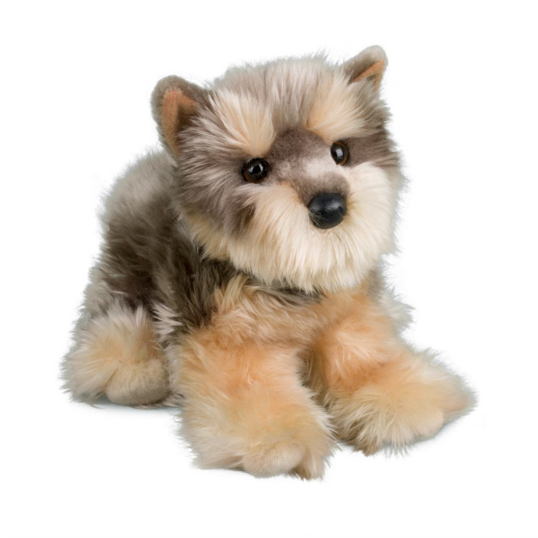 Yettie the Yorkie