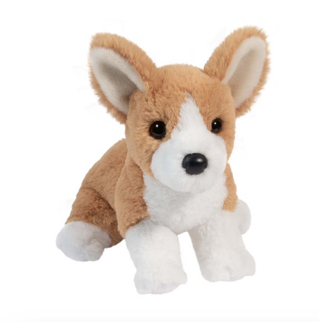 Cheekie the Mini Corgi