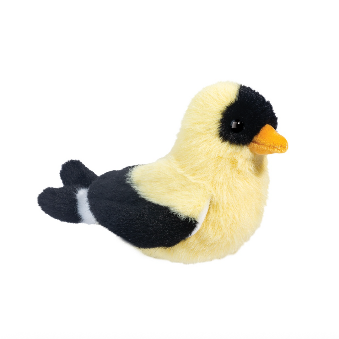 Faye the Goldfinch