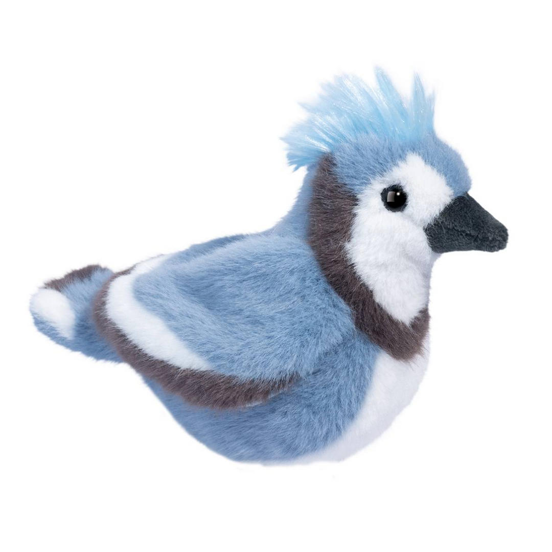Denim the Blue Jay