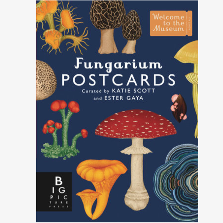 Fungarium Postcard Set Box