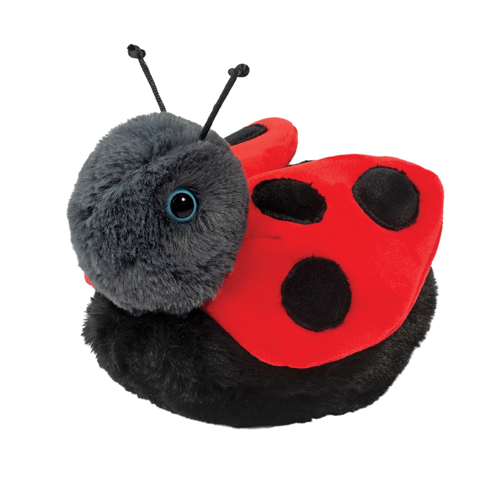 Bert the Ladybug