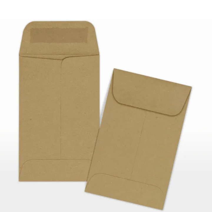 Coin Envelopes (Set of 20)