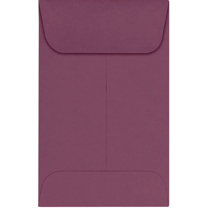 Coin Envelopes (Set of 20)