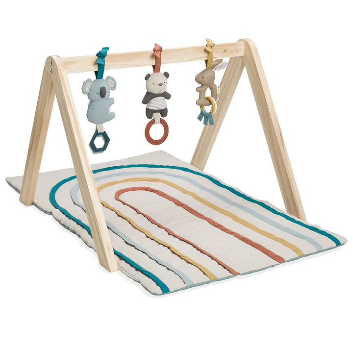 Ritzy Rainbow Activity Gym