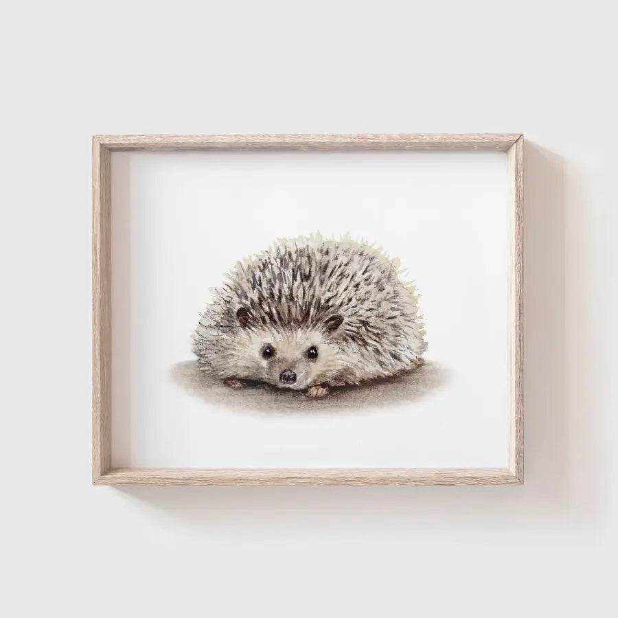 Hedgehog Art Print