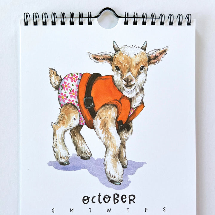 Swimsuit Calendar 2026