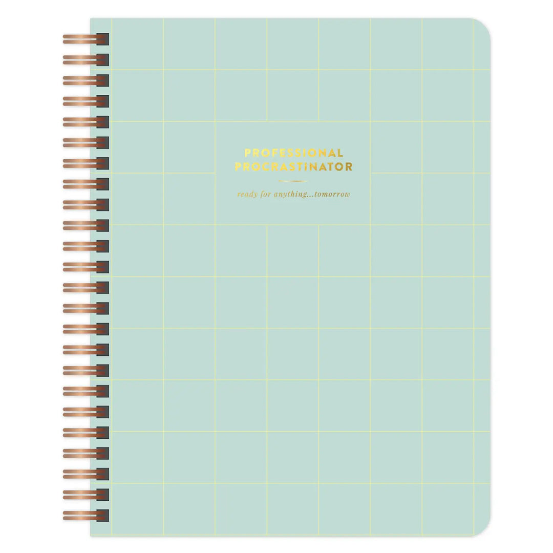 Professional Procrastinator Spiral Notebook