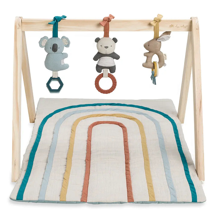Ritzy Rainbow Activity Gym