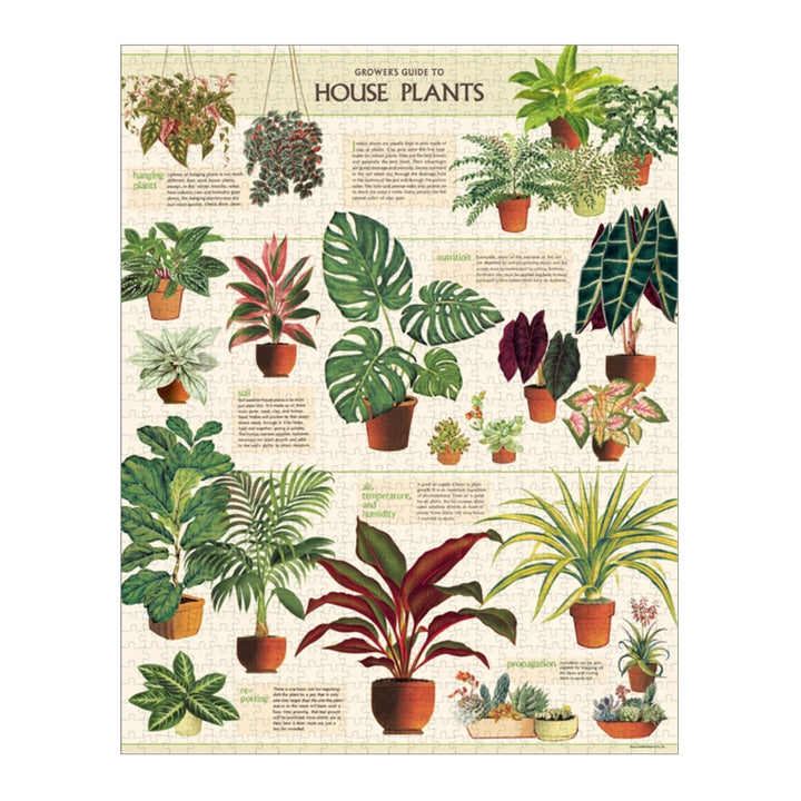 House Plants 1,000 Piece Puzzle