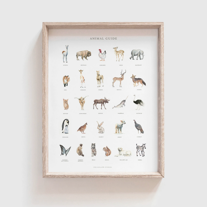 Animal Guide Alphabet Art Print