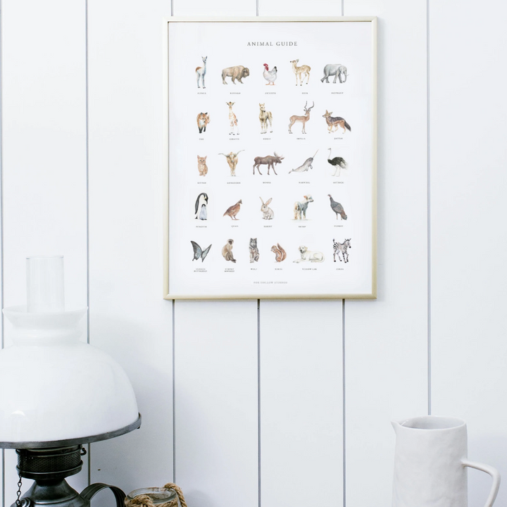 Animal Guide Alphabet Art Print
