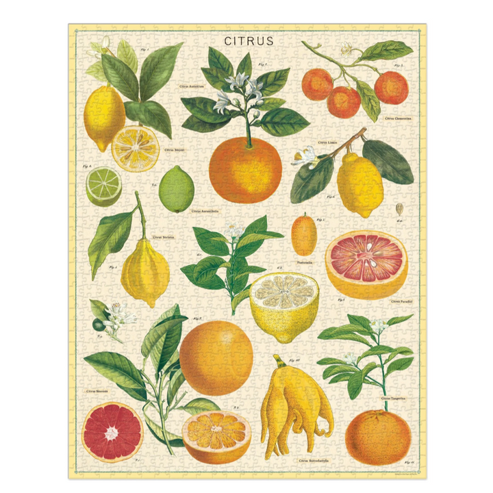 Citrus 1,000 Piece Puzzle