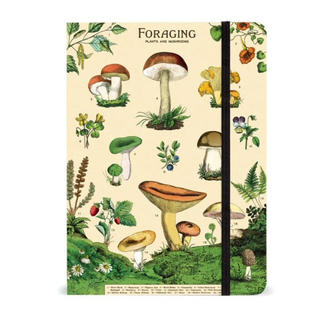 Foraging Large Notebook