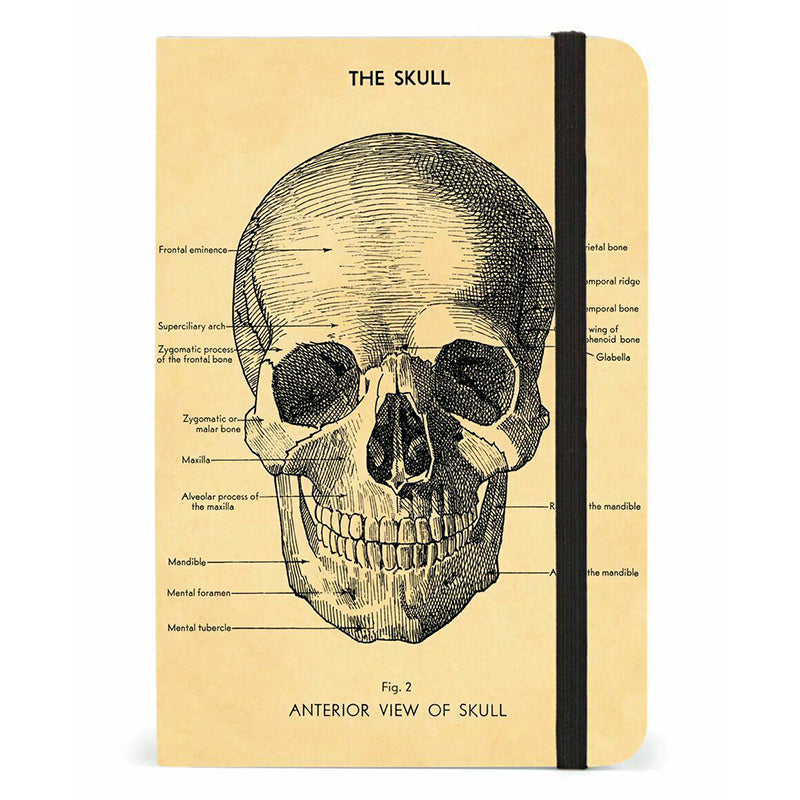 Skull Small Notebook