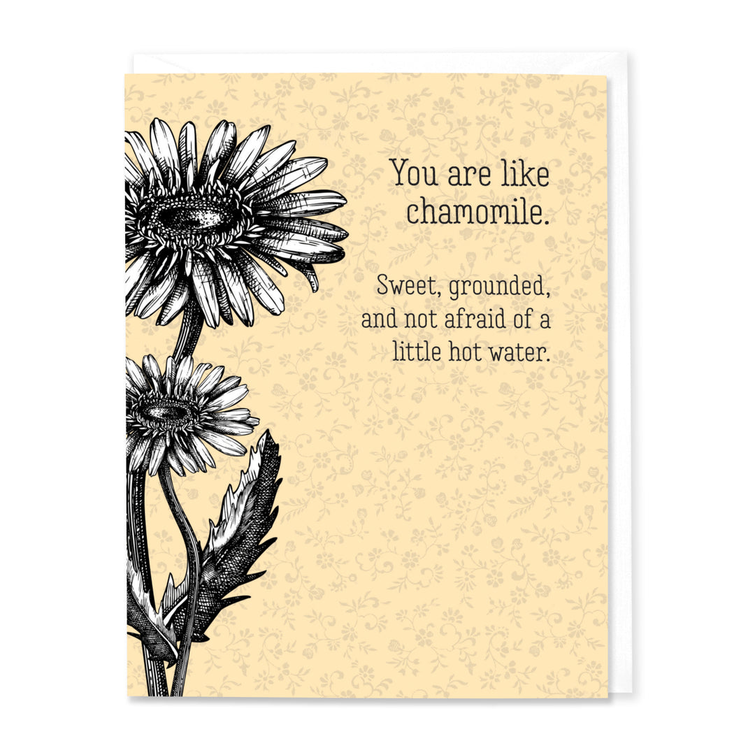 You are like Chamomile