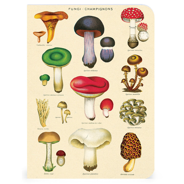 Mini Notebooks - Le Jardin