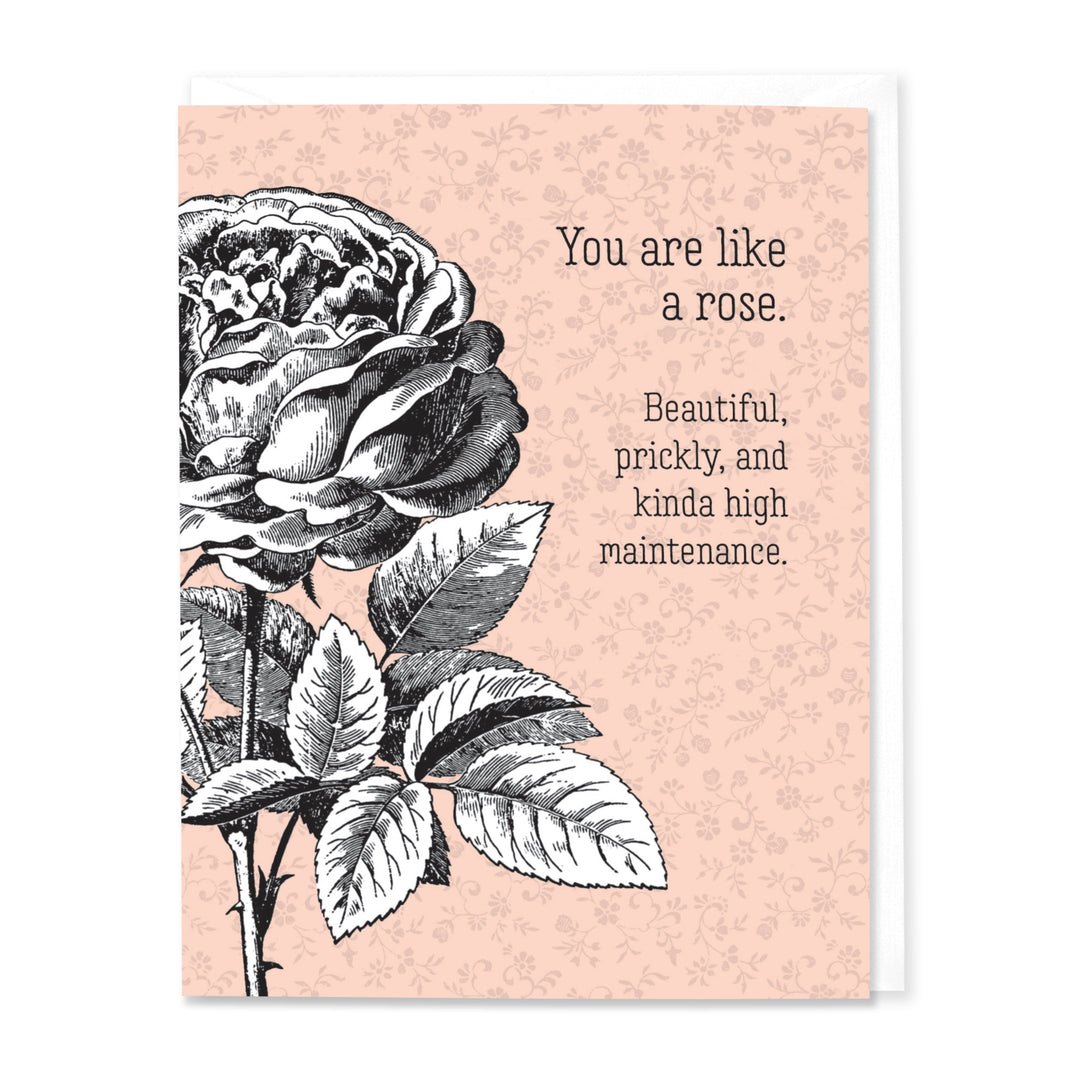 You are like a Rose