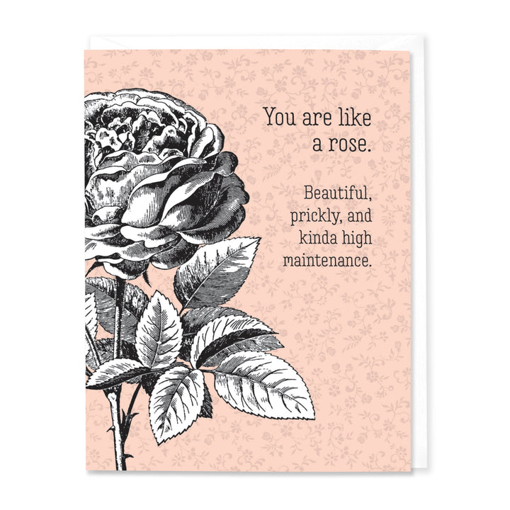 You are like a Rose