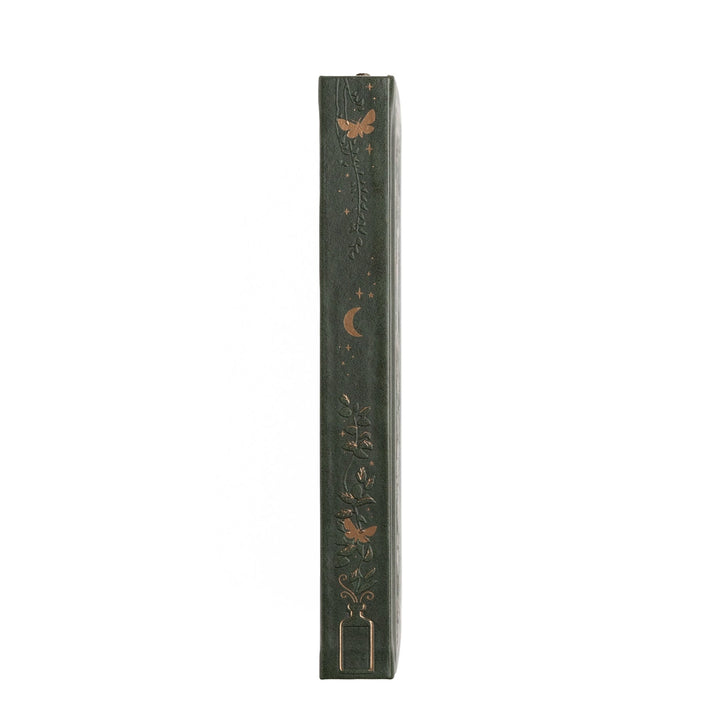 Apothecary Shelf A5 Notebook