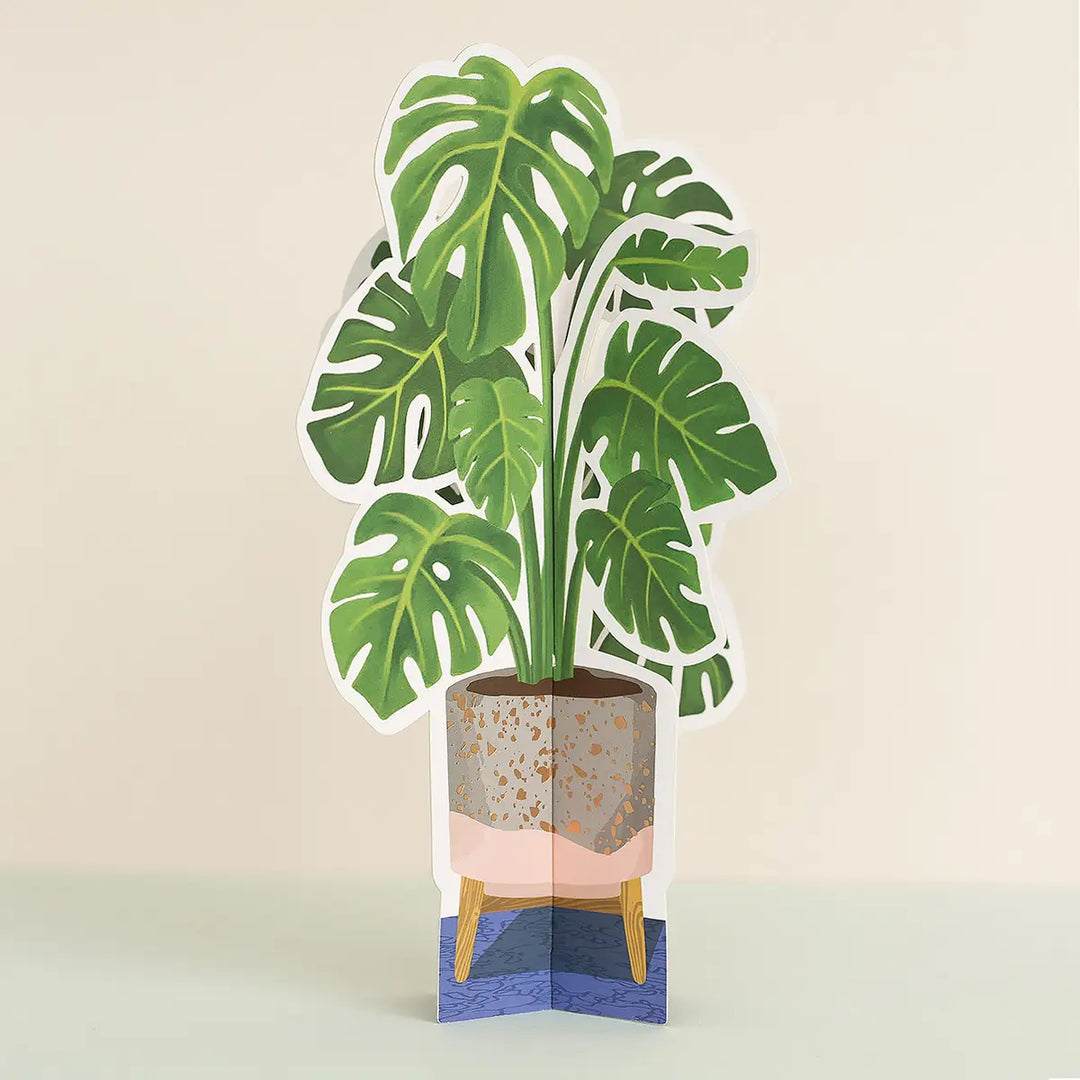 paper monstera plant Monstera Plant