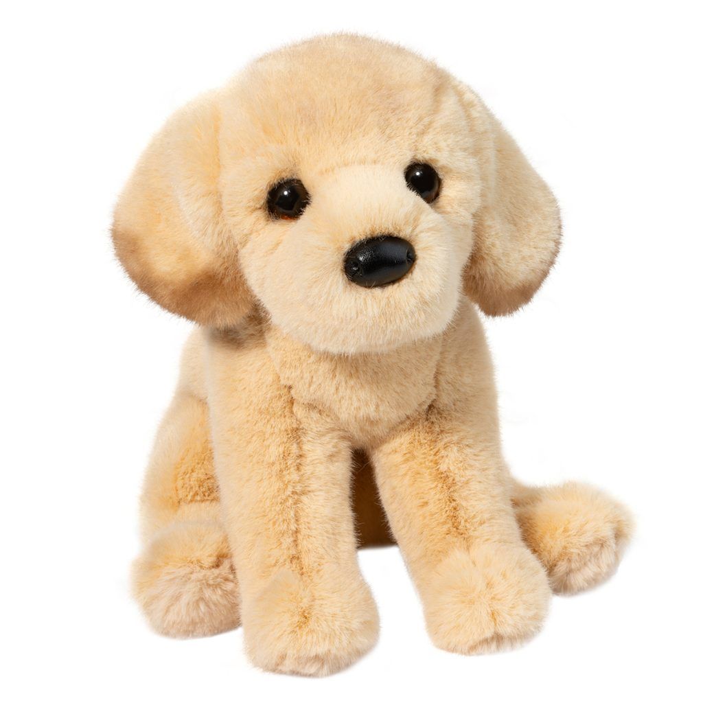 Ace the Yellow Lab